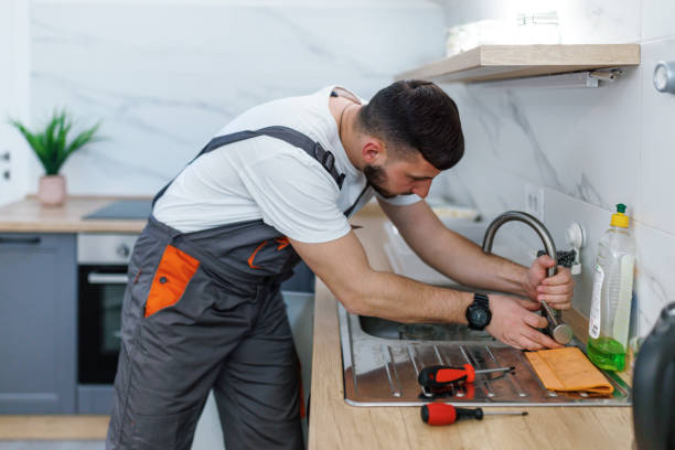 Best Clogged Drain Plumber  in Pitola, CA