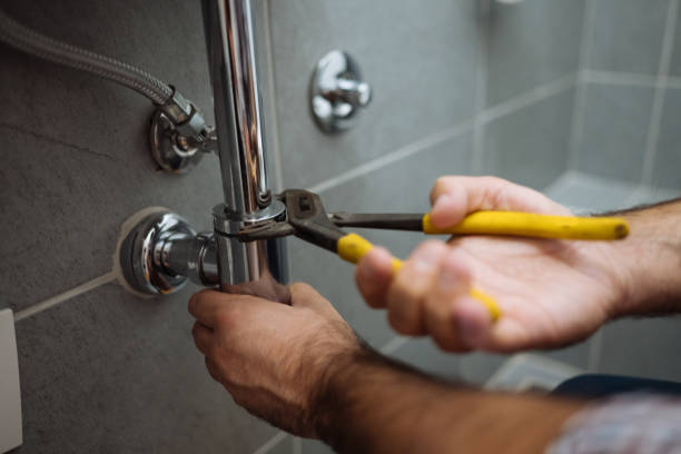 Best Septic Systems  in Pitola, CA