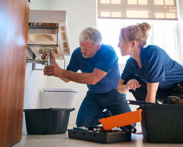 Best Commercial Plumbing Services  in Pitola, CA