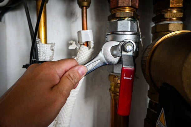 Best Local Plumber Services  in Pitola, CA
